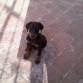 KIMBO DE 2 MESES.